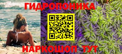 дурь Нальчик