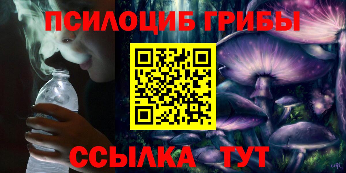 даркнет сайт  Галлюциногенные грибы Psilocybine cubensis  Вход с VPN  Сертолово  Галлюциногенные грибы GOLDEN TEACHER 