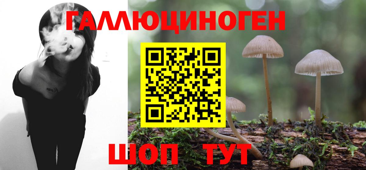 Псилоцибиновые грибы мицелий Сертолово