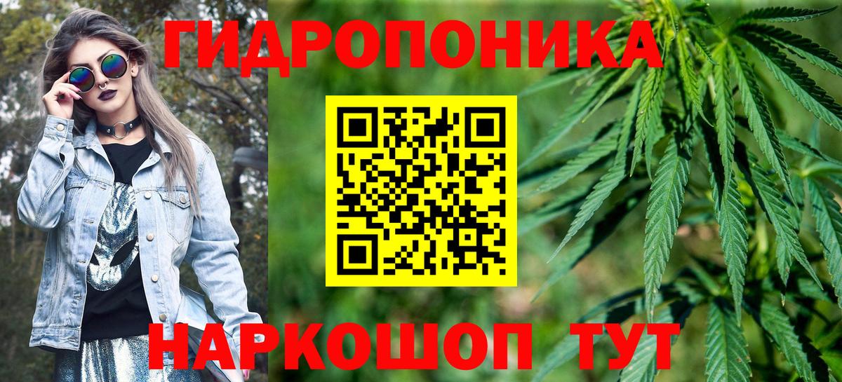 Конопля MAZAR  Вход с VPN  Бошки марихуана семена  Сертолово  Марихуана гибрид 